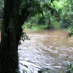 അച്ചൻകോവിൽ, വാമനപുരം നദികൾക്ക് സമീപം ജാഗ്രത നിർദേശം: ജലനിരപ്പ് ഉയരുന്നു
