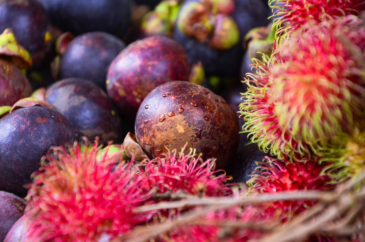 Read more about the article ഫ്രൂട്ട് ഗ്രാമവുമായി തോട്ടപ്പുഴശേരി പഞ്ചായത്ത്