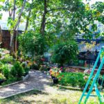 സഞ്ചാരികള്‍ക്ക് നവീകരിച്ച കാഴ്ചകളൊരുക്കി പായം പഞ്ചായത്തിലെ ഇരിട്ടി പെരുംപറമ്പ് എക്കോപാര്‍ക്ക്.