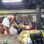 ശബരിമലയിലെ നിറപുത്തിരി പൂജകൾക്ക് തുടക്കം; നെൽക്കതിരുകളുടെ ഘോഷയാത്ര  വൈകിട്ട് 8ന് സന്നിധാനത്തെത്തും.