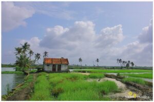 Read more about the article ഇനി വാട്ടർ മെട്രോയിൽ യാത്ര ചെയ്തു കടമക്കുടിയുടെ സൗന്ദര്യം ആസ്വദിക്കാം <br>