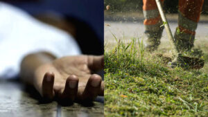 Read more about the article മഞ്ചേരിയിൽ യുവാവിനെ പുല്ലുവെട്ടി യന്ത്രം ഉപയോഗിച്ച് കൊലപ്പെടുത്തി