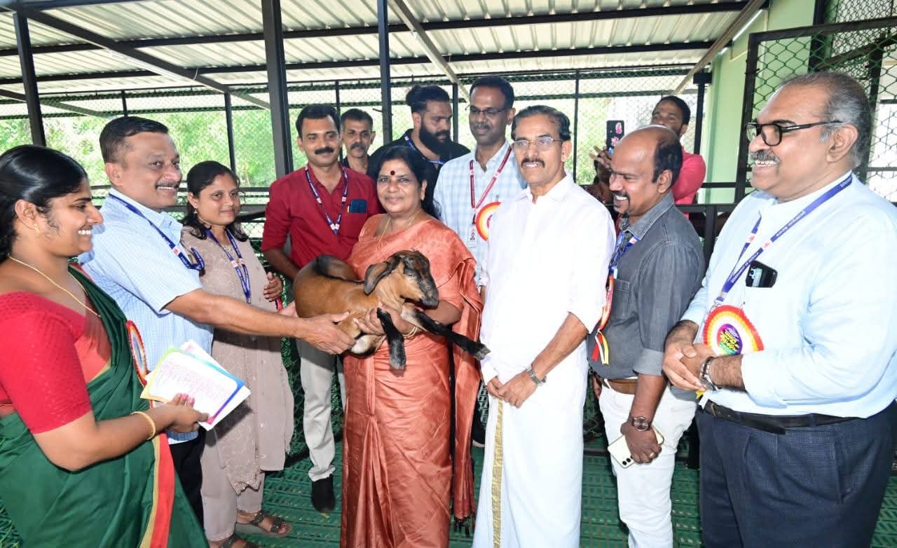 Read more about the article ബേഡഡുക്കയിൽ സംസ്ഥാനത്തിന്റെ ഏറ്റവും വലിയ ഹൈടെക് ആട് വളർത്തൽ കേന്ദ്രം മന്ത്രി ചിഞ്ചു റാണി ഉദ്ഘാടനം ചെയ്തു