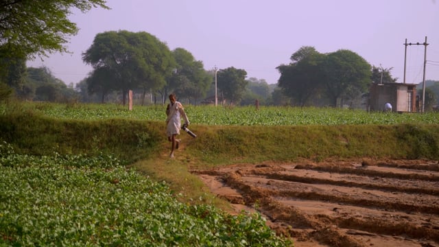 You are currently viewing കര്‍ഷക സമൂഹത്തെ സ്റ്റാര്‍ട്ടപ്പ് ഇക്കോസിസ്റ്റത്തിലേക്ക് കൊണ്ടുവരുന്നത് ലക്ഷ്യമിട്ട് കേരള സ്റ്റാര്‍ട്ടപ്പ് മിഷൻ്റെ അഗ്രിനെക്സ്റ്റ് പദ്ധതി