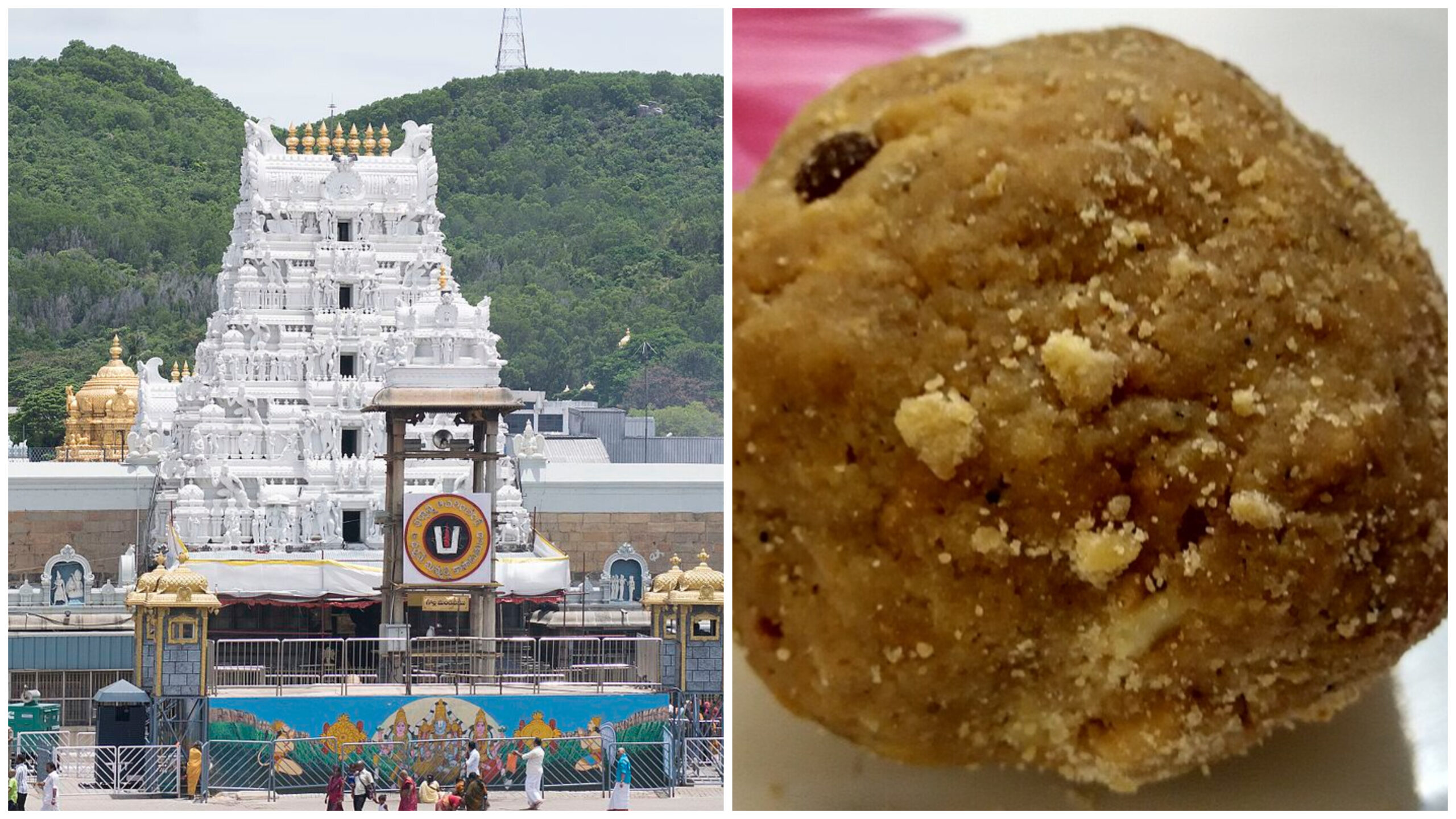 Read more about the article തിരുപ്പതി ലഡ്ഡു വിവാദം: സനാതന ധർമ്മ സംരക്ഷണ ബോർഡ് രൂപീകരിക്കണമെന്ന് ആന്ധ്ര ഉപമുഖ്യമന്ത്രി പവൻ കല്യാൺ ആവശ്യപ്പെട്ടു