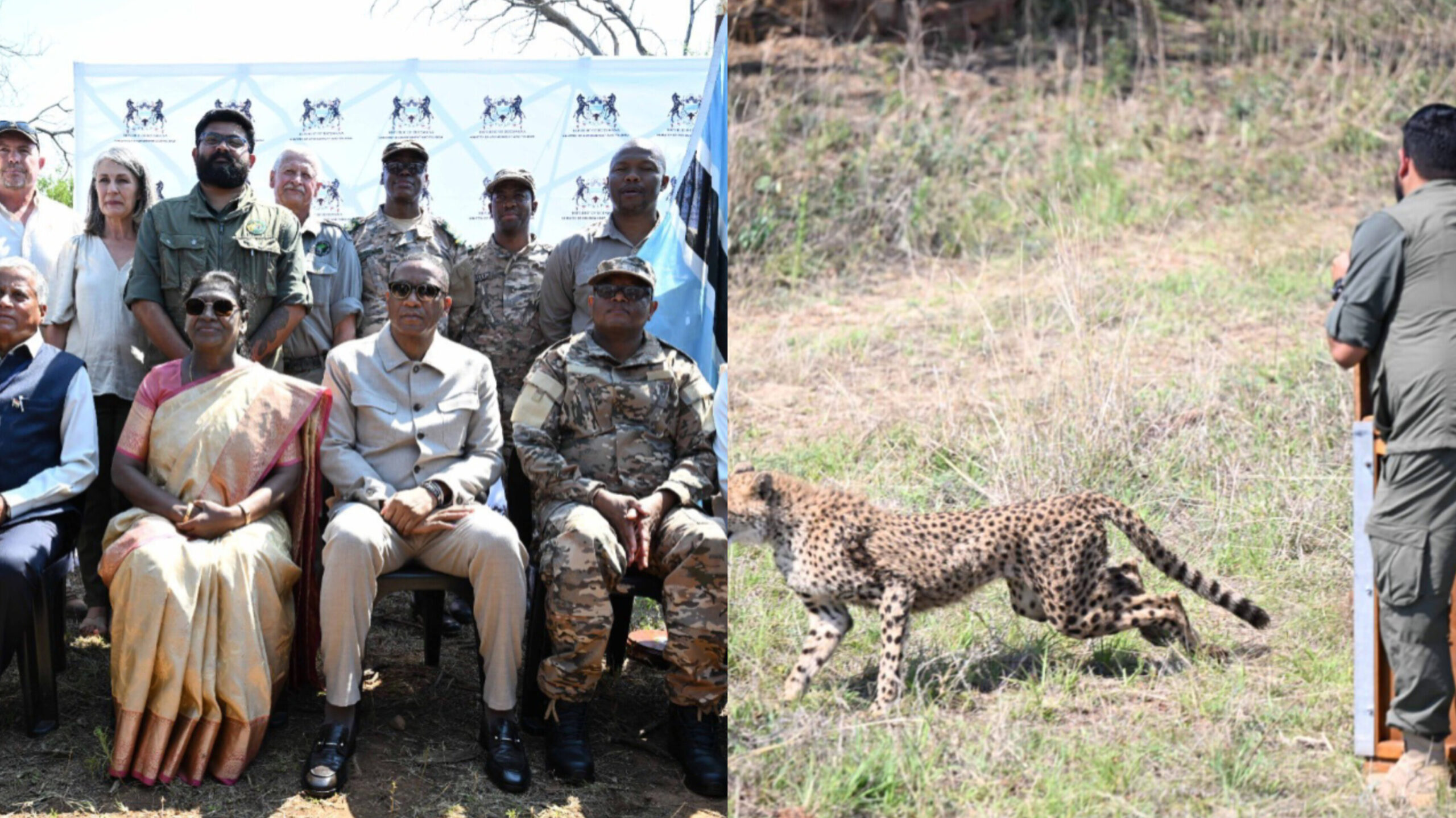Read more about the article പ്രസിഡന്റ് ദ്രൗപദി മുർമു ബോട്സ്വാനയിൽ നിന്ന് ഇന്ത്യയിലേക്ക് ചീറ്റപ്പുലികളുടെ പ്രതീകാത്മക കൈമാറ്റത്തിന് സാക്ഷ്യം വഹിച്ചു
