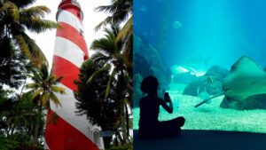 Read more about the article സംസ്ഥാനത്തെ ആദ്യ ഓഷ്യനേറിയം ചവറ മണ്ഡലത്തിൽ; 300 കോടി രൂപയുടെ മഹാപദ്ധതി