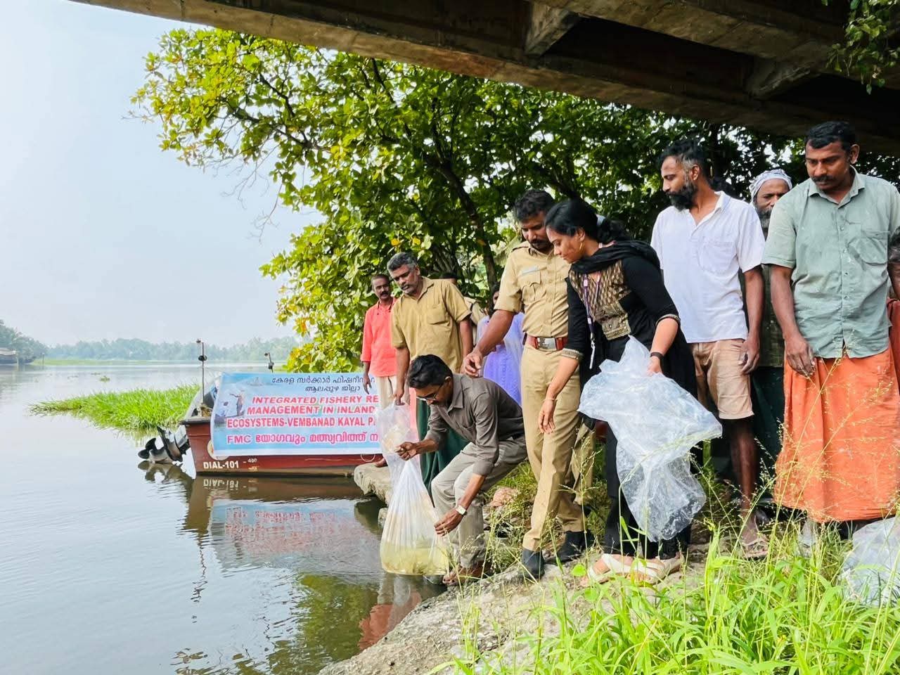 Read more about the article മത്സ്യസമ്പത്ത് പുനരുജ്ജീവിപ്പിക്കാൻ വേമ്പനാട് കായലിൽ  മത്സ്യക്കുഞ്ഞുങ്ങളെ നിക്ഷേപിച്ചു