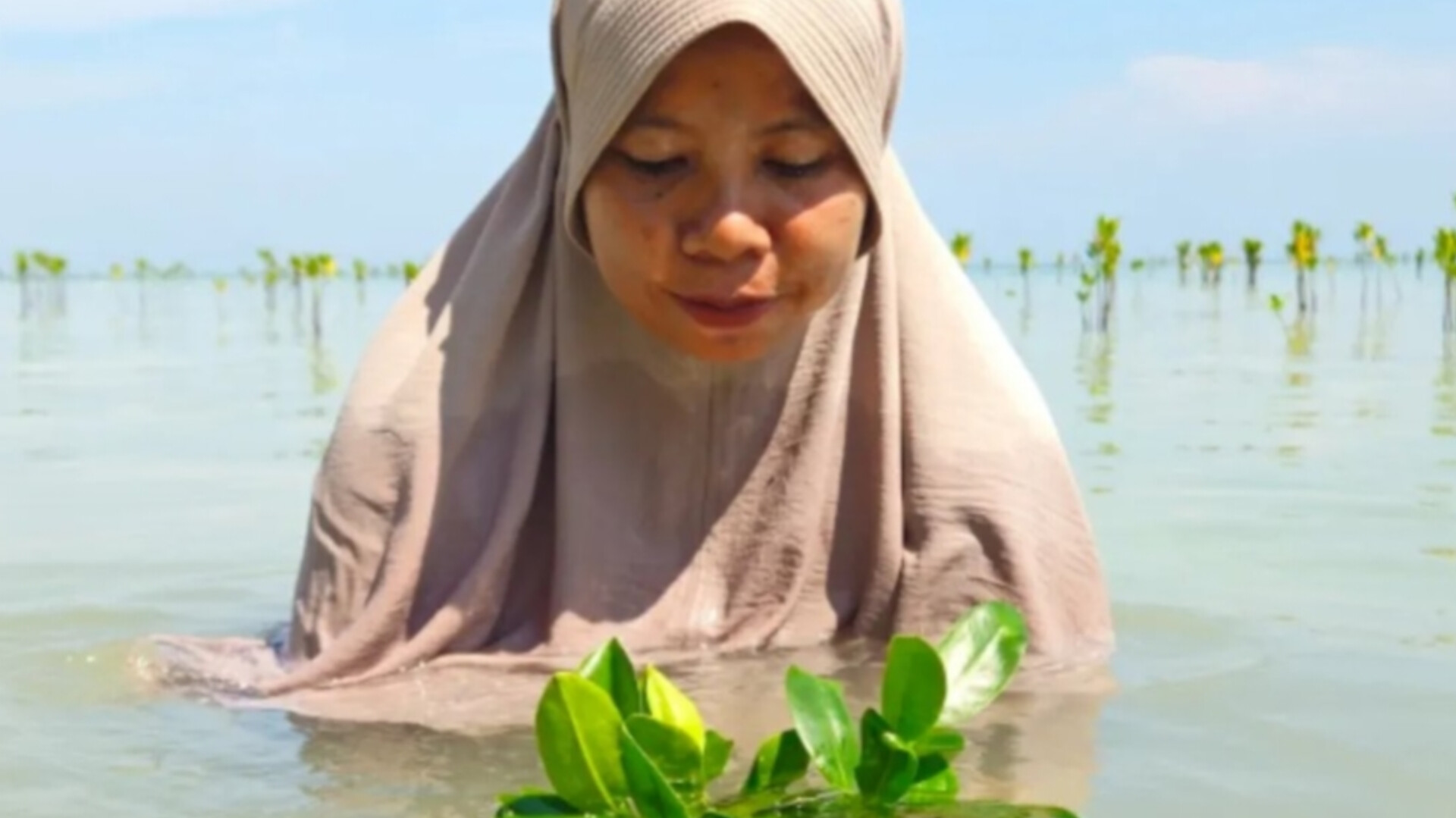 Read more about the article സമുദ്രനിരപ്പ് ഉയരുന്നത് അതിജീവനത്തിന് ഭീഷണിയായതിനാൽ പാരി ദ്വീപ് നിവാസികൾ കണ്ടൽക്കാടുകളിലേക്ക് തിരിയുന്നു