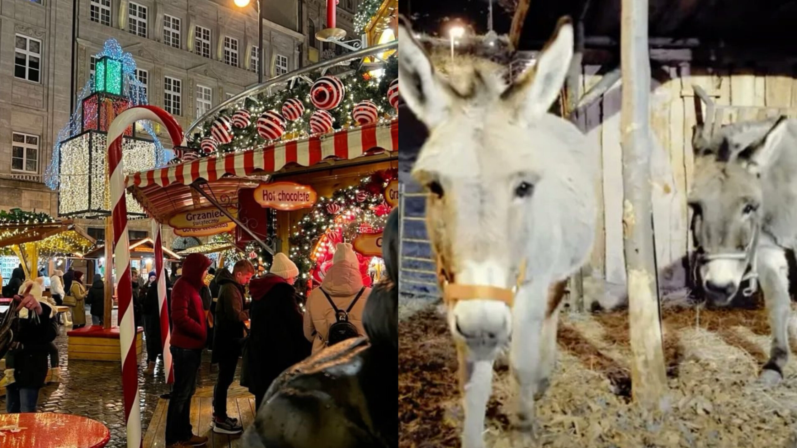 Read more about the article അക്രമികൾ  എർബാഖ് ക്രിസ്മസ് മാർക്കറ്റ് നശിപ്പിച്ചു; കഴുതകളെ ആക്രമിച്ചു