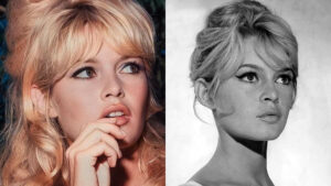 Read more about the article ഫ്രഞ്ച് നടിയും മൃഗാവകാശ പ്രവർത്തകയുമായ ബ്രിജിറ്റ് ബാർഡോ അന്തരിച്ചു