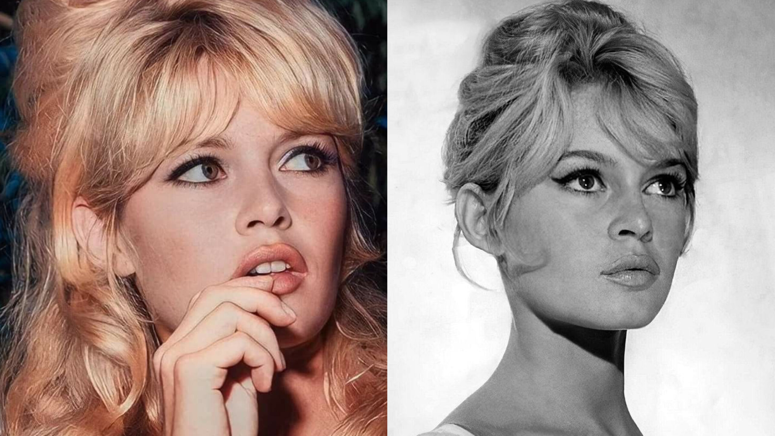 You are currently viewing ഫ്രഞ്ച് നടിയും മൃഗാവകാശ പ്രവർത്തകയുമായ ബ്രിജിറ്റ് ബാർഡോ അന്തരിച്ചു