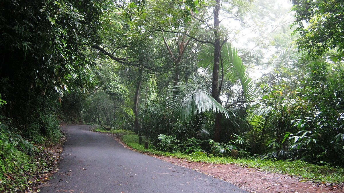 Read more about the article അച്ചൻകോവിൽ–അലിമുക്ക് റോഡിൽ നിയന്ത്രണങ്ങൾ; അയ്യപ്പഭക്തർക്ക് വനം വകുപ്പിന്റെ ജാഗ്രതാ നിർദേശം