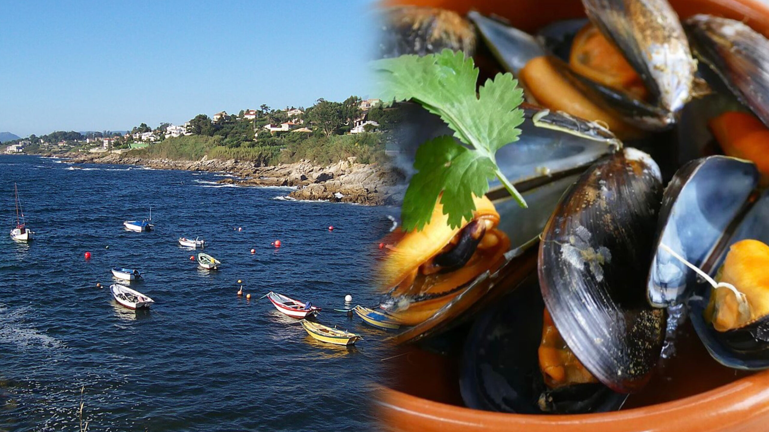 Read more about the article വിഗോ തുറമുഖവും ഗാലീഷ്യൻ കല്ലുമ്മക്കായും: യൂറോപ്പിന്റെ ഷെൽഫിഷ് ശക്തികേന്ദ്രം