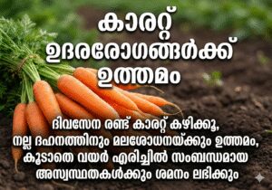 Read more about the article ഉദരരോഗങ്ങൾക്ക് കാരറ്റ് കഴിക്കുന്നത് ഉത്തമം