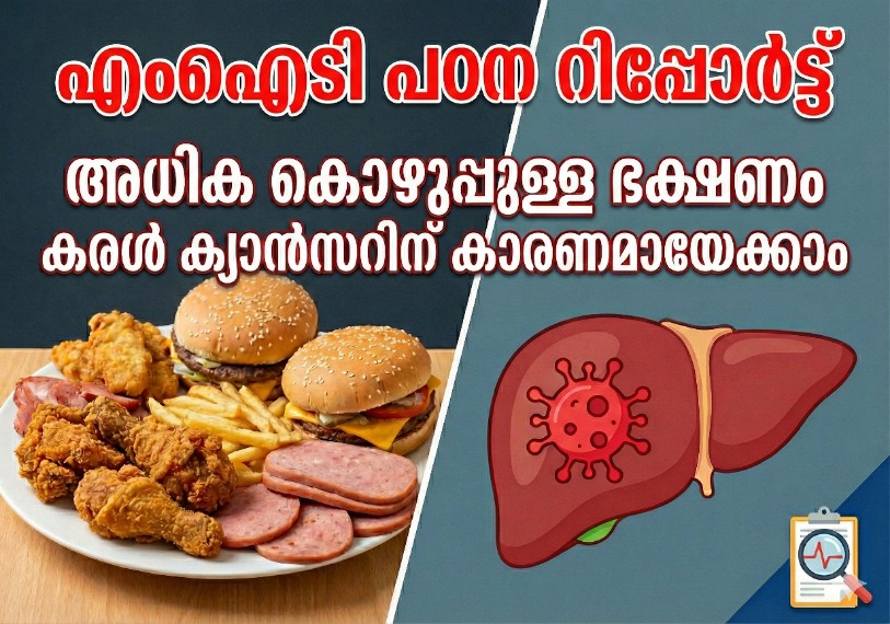 Read more about the article കൊഴുപ്പ് കൂടുതലുള്ള ആഹാരം കരൾ കാൻസറിന് കാരണമാകാമെന്ന് എംഐടി പഠനം