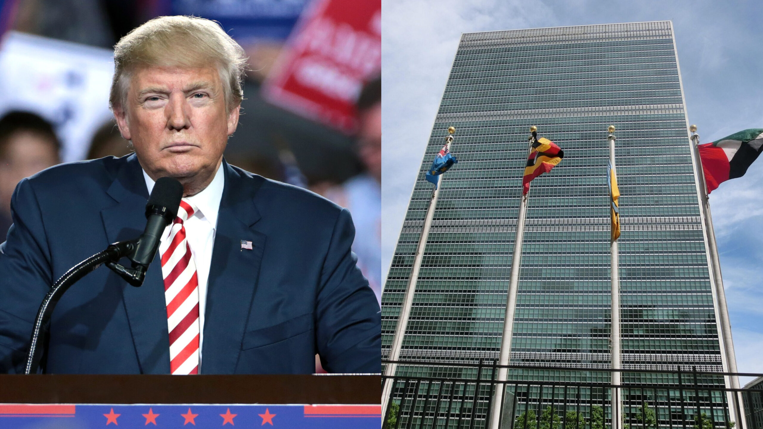 Read more about the article 66 അന്താരാഷ്ട്ര സംഘടനകളിൽ നിന്ന് യുഎസ് പിന്മാറും