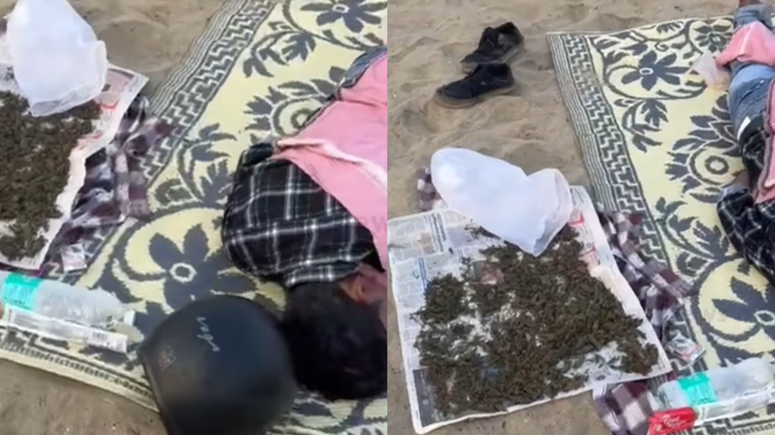 Read more about the article കോഴിക്കോട് ബീച്ചിൽ കഞ്ചാവ് ഉണക്കുന്നതിനിടെ യുവാവ് പിടിയിൽ