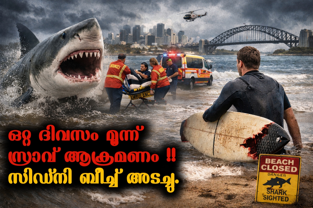 Read more about the article 24 മണിക്കൂറിനിടെ മൂന്ന് സ്രാവാക്രമണം: സിഡ്നിയിലെ കടൽത്തീരങ്ങൾ അടച്ചു