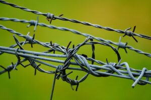 Read more about the article പത്തനാപുരം: വന്യമൃഗ ആക്രമണങ്ങളിൽ നിന്ന് സംരക്ഷണം—ആർ.കെ.വി.വൈ പദ്ധതിയിൽ 22 ലക്ഷം രൂപയുടെ പ്രവർത്തനങ്ങൾ പൂർത്തിയായി