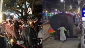 Read more about the article പാലക്കാട് മണപ്പുള്ളിക്കാവ് വേലയ്ക്കിടെ ഹൈഡ്രജൻ ബലൂൺ പൊട്ടിത്തെറി; ആന ഇടഞ്ഞോടി പരിഭ്രാന്തി