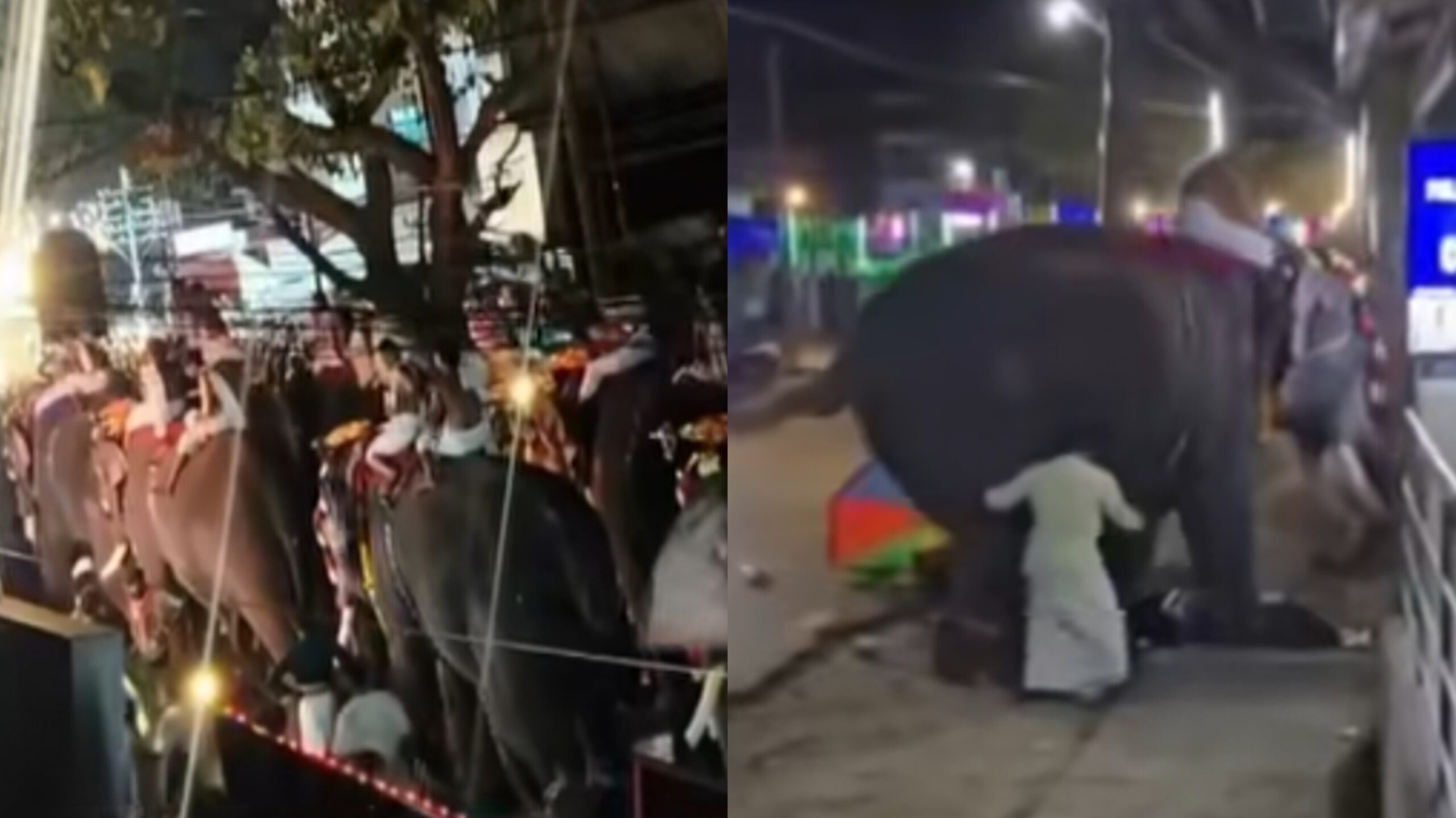 You are currently viewing പാലക്കാട് മണപ്പുള്ളിക്കാവ് വേലയ്ക്കിടെ ഹൈഡ്രജൻ ബലൂൺ പൊട്ടിത്തെറി; ആന ഇടഞ്ഞോടി പരിഭ്രാന്തി