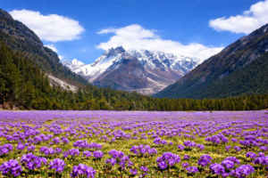 Read more about the article സിക്കിമിലെ യുംതാങ്  താഴ്വരയെ വസന്തകാലത്തിലെ പ്രധാന വിനോദസഞ്ചാര കേന്ദ്രമായി ടൂറിസം മന്ത്രാലയം പ്രഖ്യാപിച്ചു