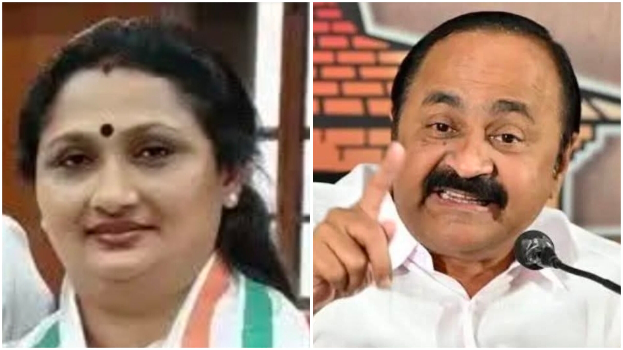 You are currently viewing വിജയം ഒരാൾക്ക് മാത്രം അവകാശപ്പെടാൻ ആകില്ല; വി.ഡി. സതീശനെതിരെ ദീപ്തി മേരി വർഗീസ്