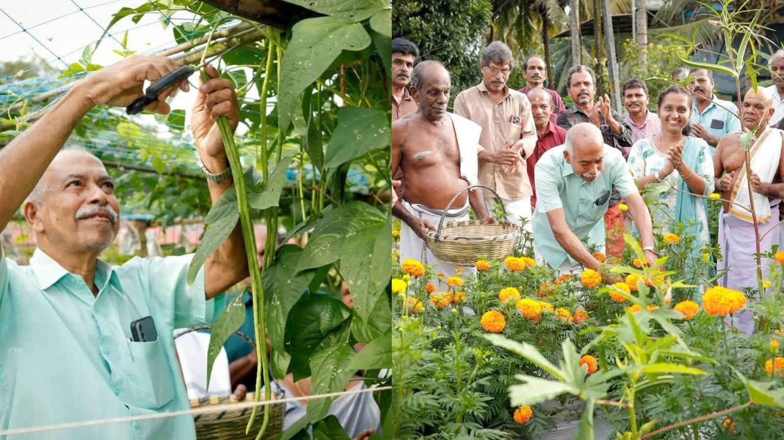 Read more about the article പയ്യന്നൂരിലെ കിണറ്മുക്ക് പായം പച്ചക്കറി ക്ലസ്റ്ററിന് സംസ്ഥാനത്തെ മികച്ച പച്ചക്കറി ക്ലസ്റ്റർ പുരസ്കാരം